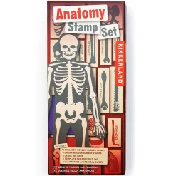 Anatomy Stamp Set