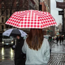 Baguette Umbrella
