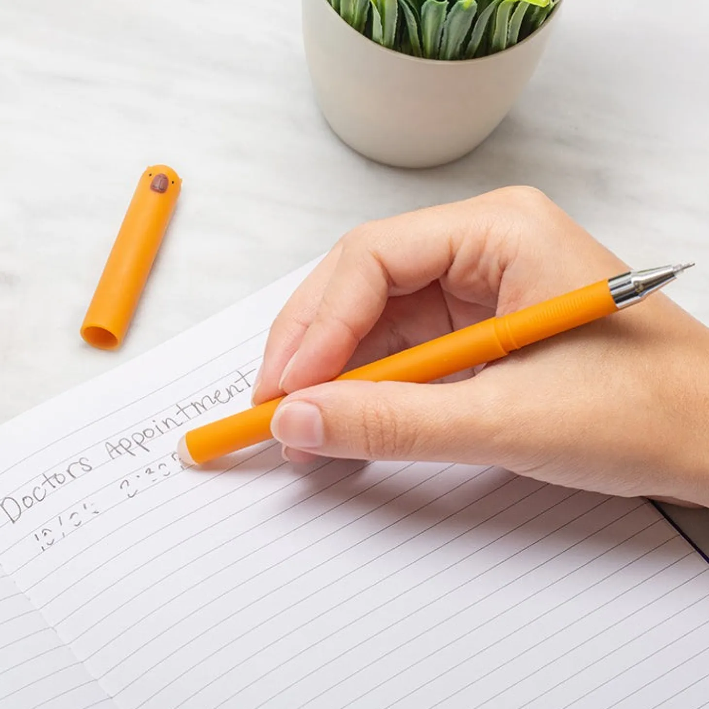 Capybara Erasable Gel Pens