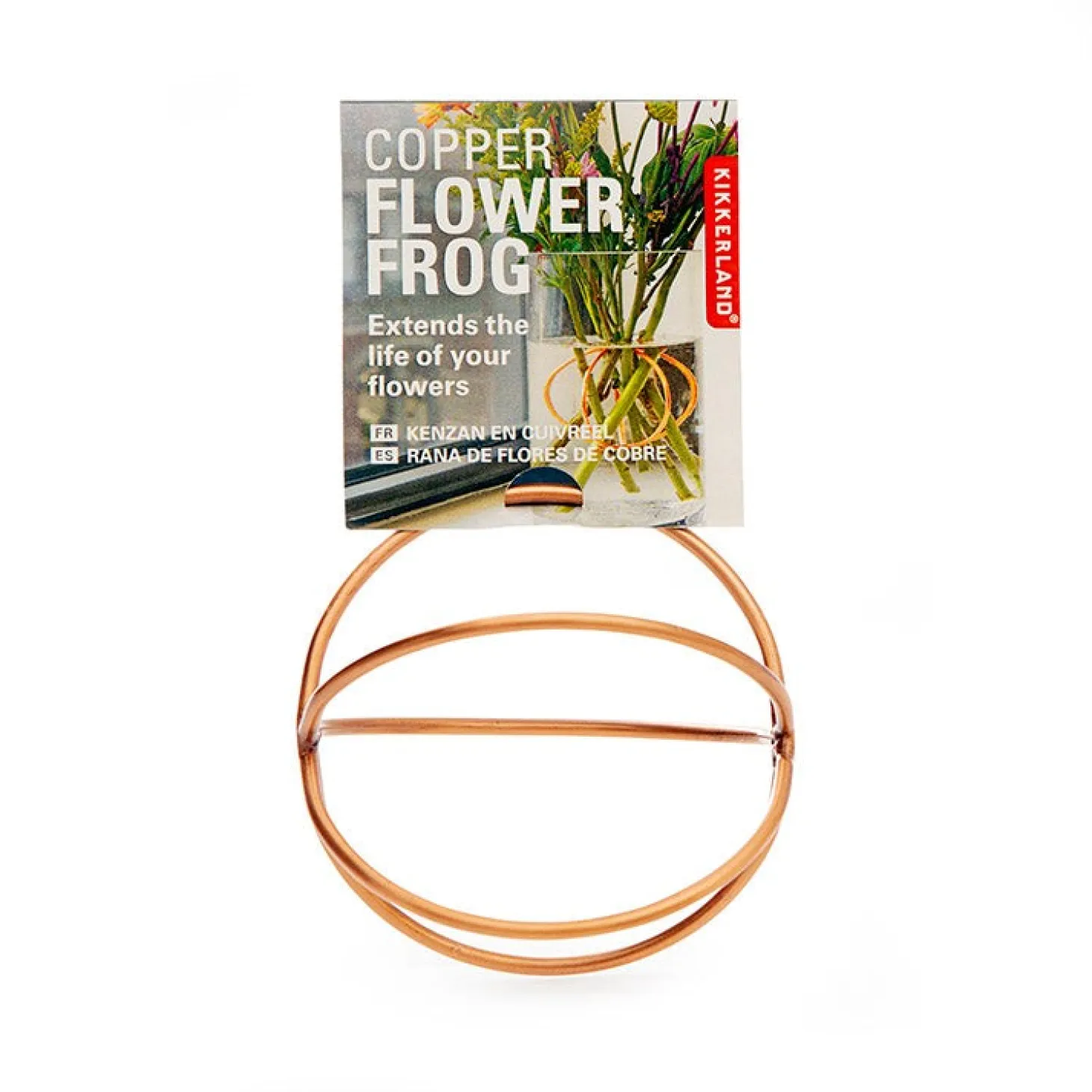 Copper Flower Frog