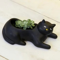 Cosmo the Black Cat Planter