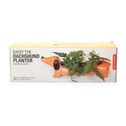 Daisy the Dachshund Planter