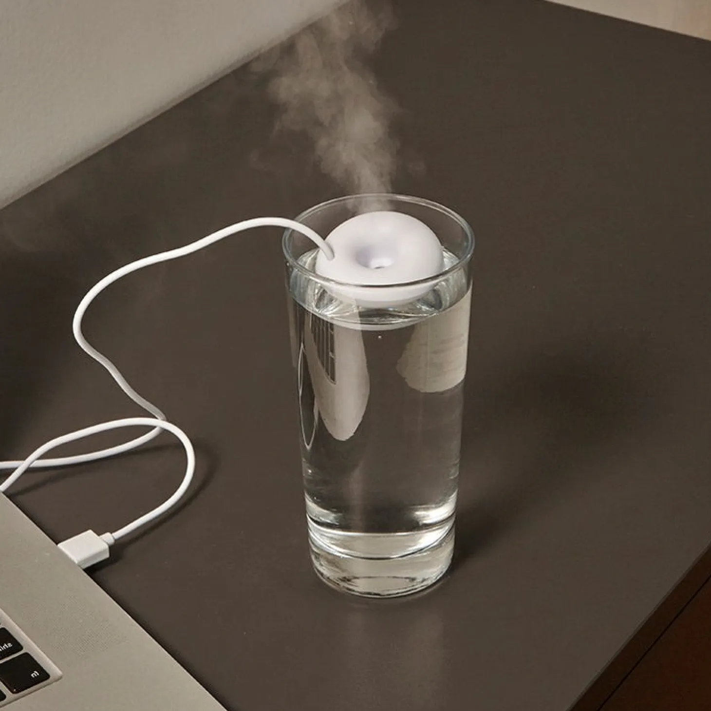 Floatie Humidifier