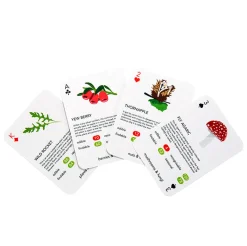 Foragers Playing Cards