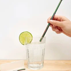 Irredescent Travel Straw Set