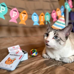 Kiko Cat Happy Birthday Kit