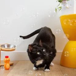 Kiko Catnip Bubbles