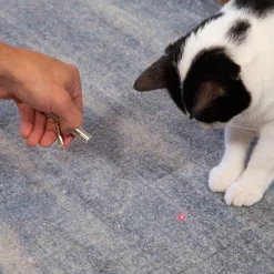 Kiko Laser Pointer