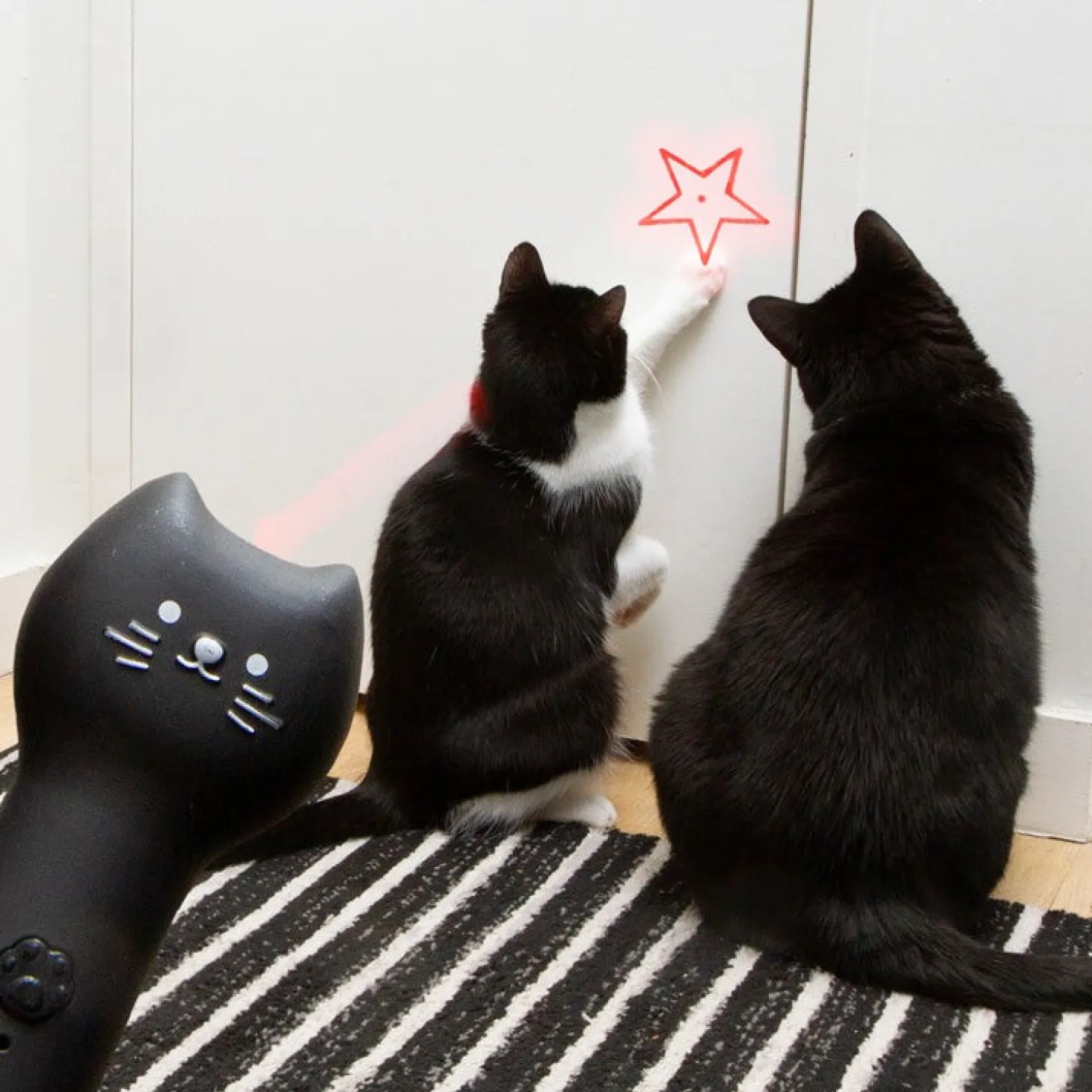 Kiko Rechargeable Pounce & Play Laser