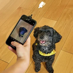 Kobe Dog Treat Selfie Clip