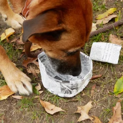 Kobe Fake News Water Bowl