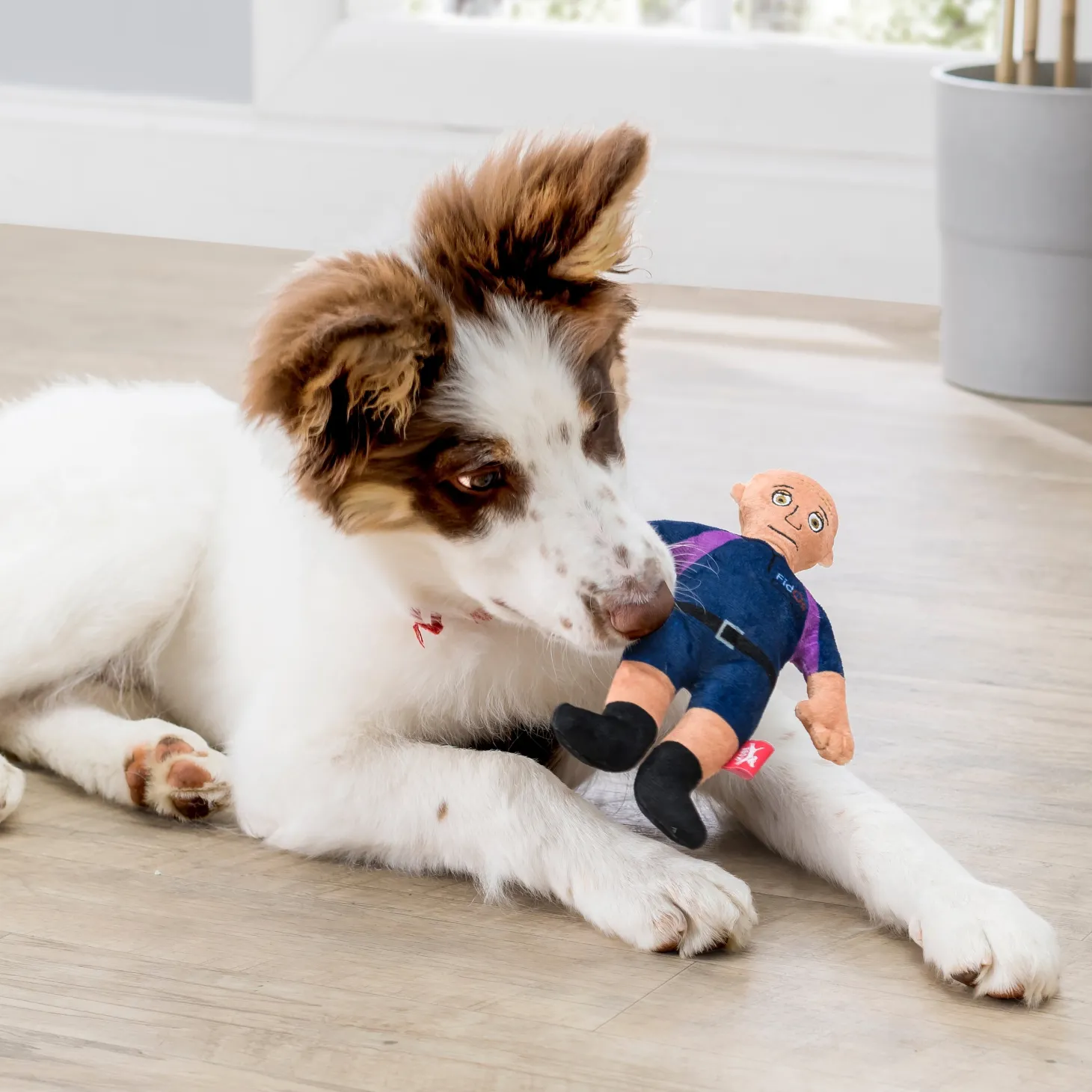 Kobe FidOs Squeeky Plush Toy
