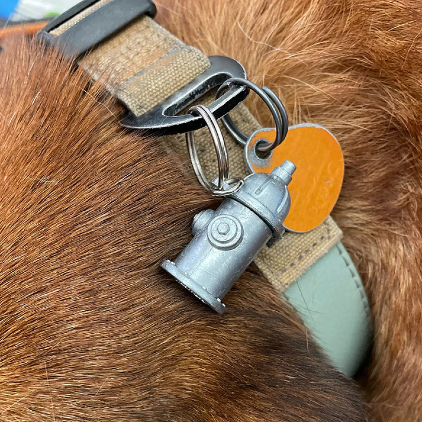 Kobe Identification Charm