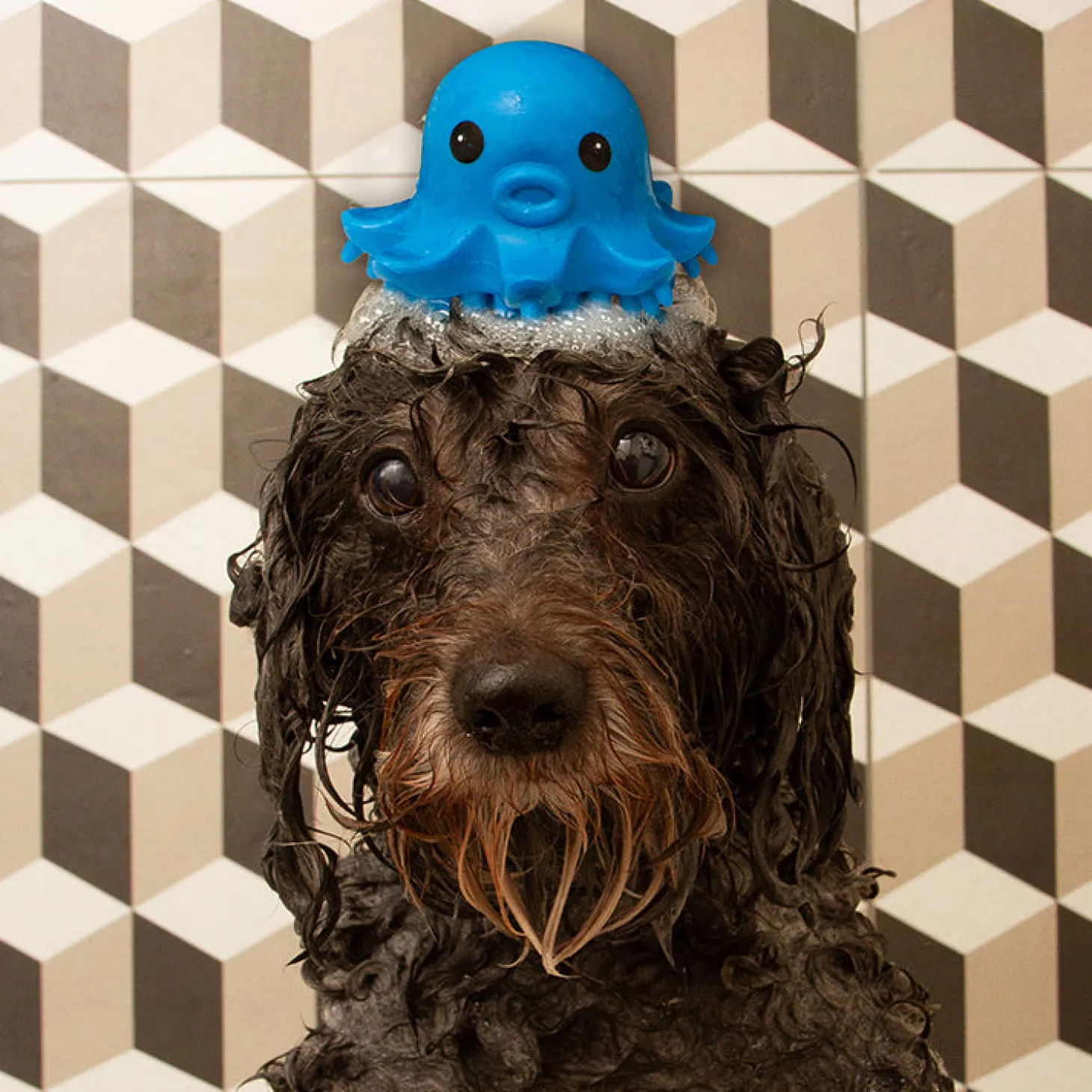 Kobe Octopus Grooming Brush