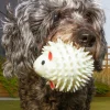 Kobe Sheep Dog Ball