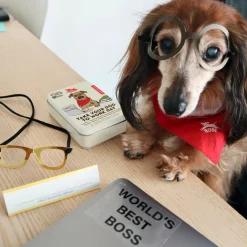 Kobe Take Your Dog to Work Day