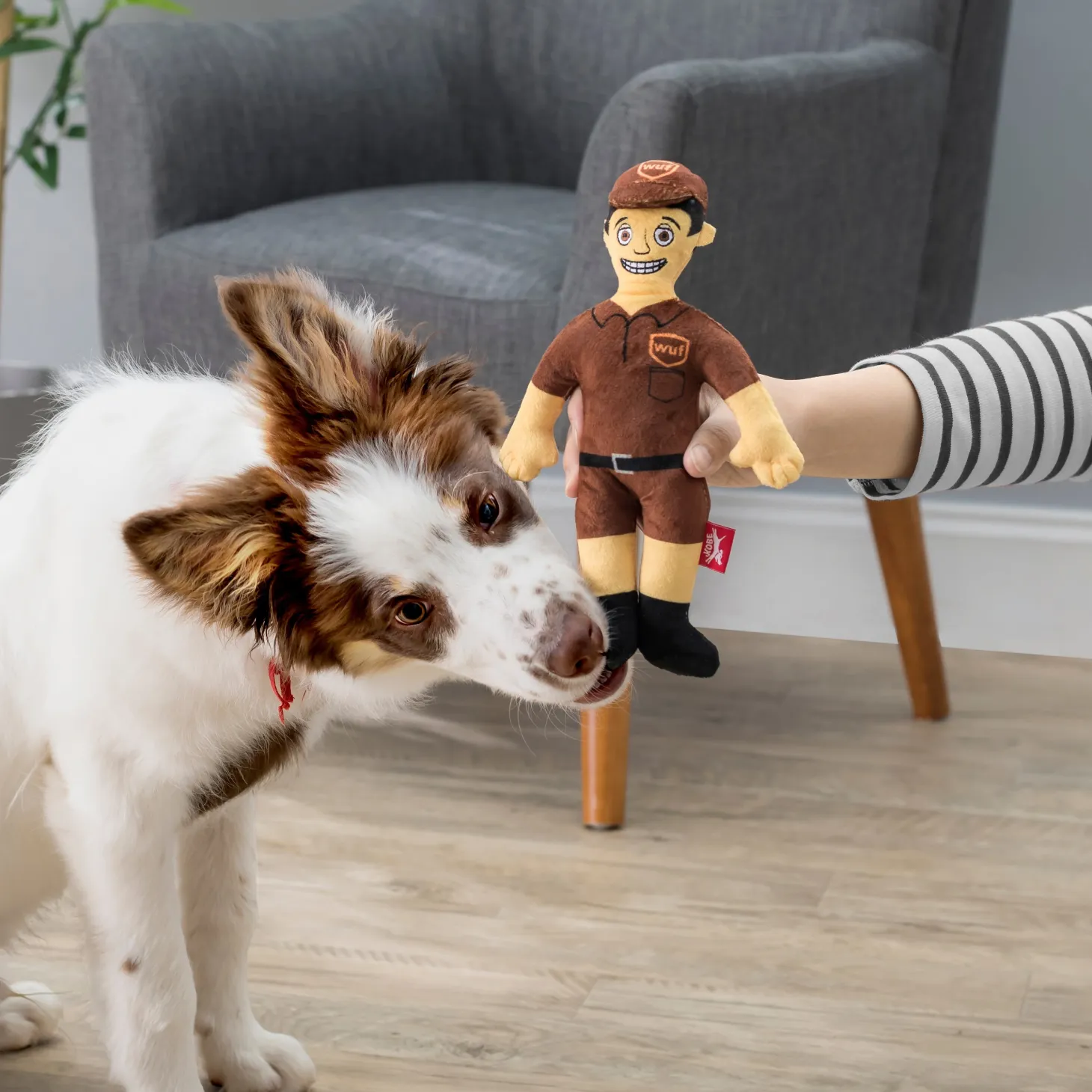 Kobe Wuf Squeeky Plush Toy