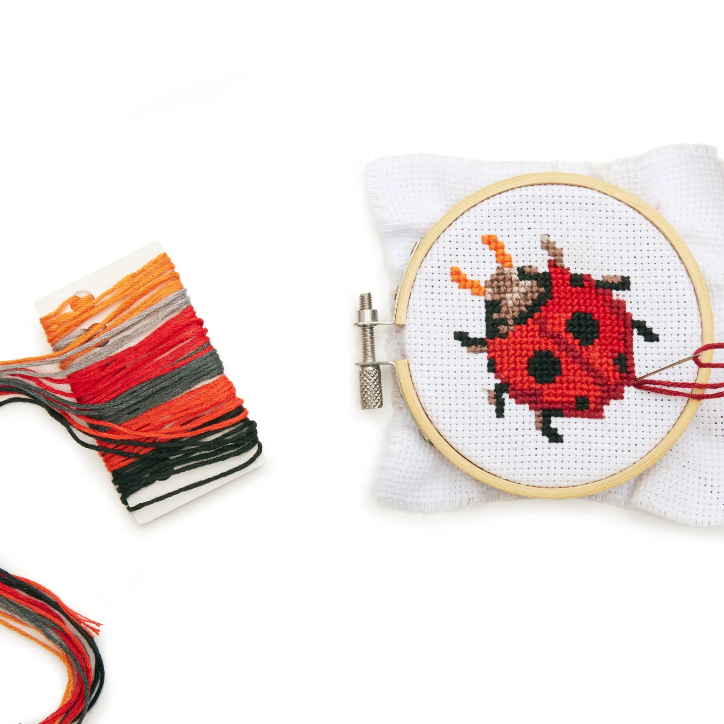 Ladybug Mini Cross Stitch Embroidery Kit