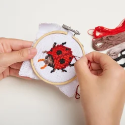 Ladybug Mini Cross Stitch Embroidery Kit