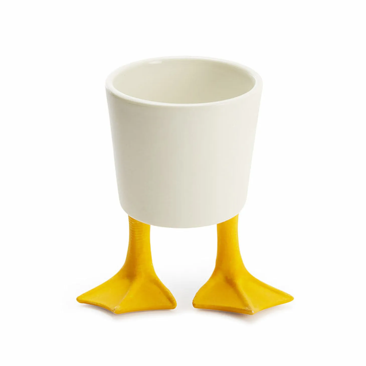 Large Duck Feet Planter