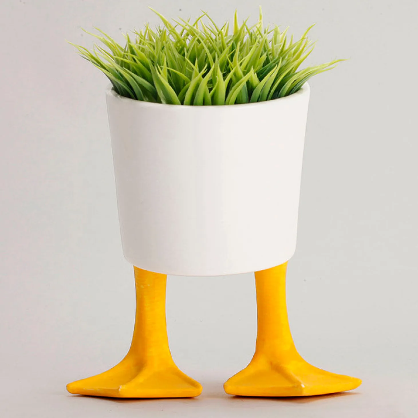 Large Duck Feet Planter