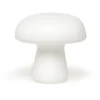 Large Mushroom Light