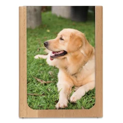 Large Picture Frame Pen Holder