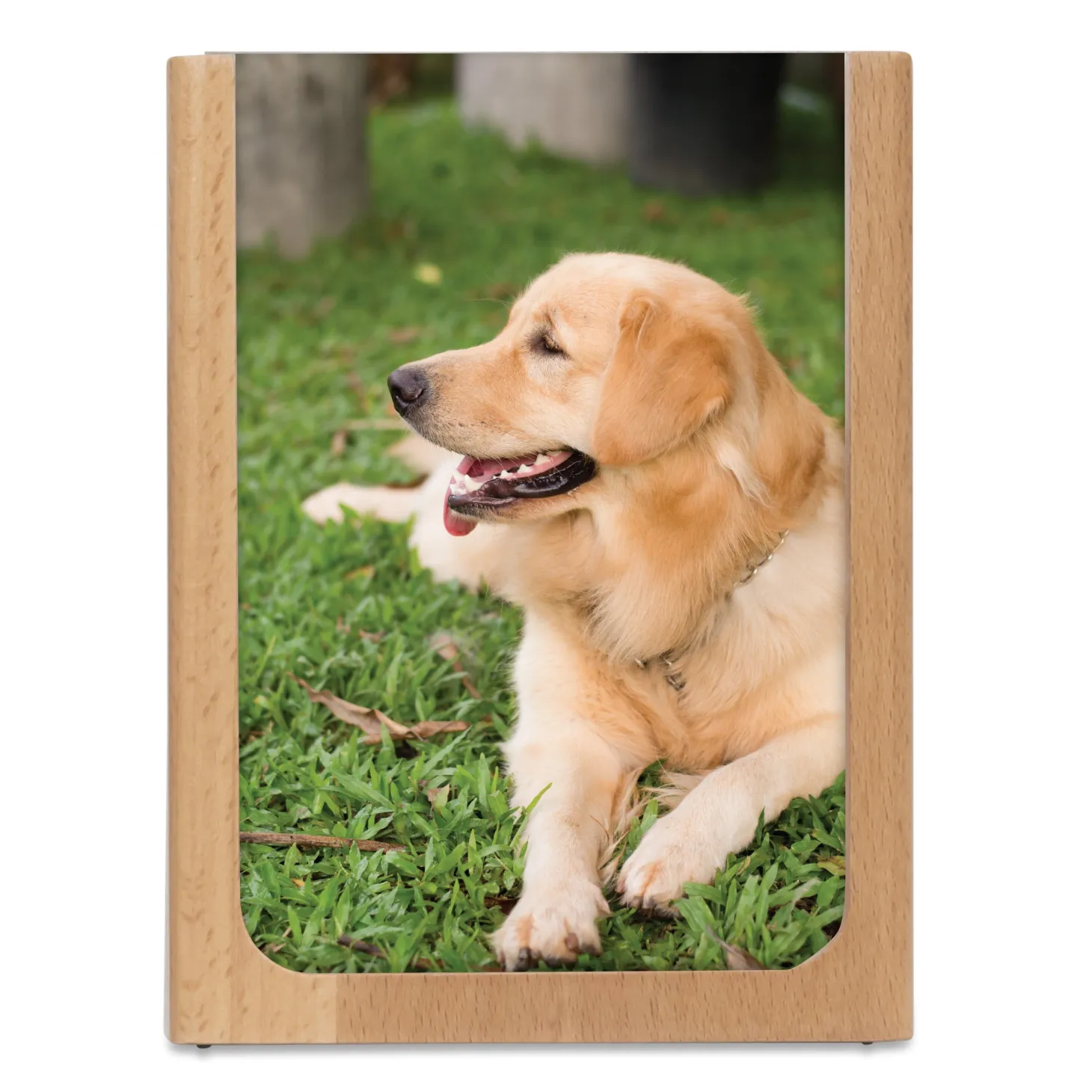 Large Picture Frame Pen Holder