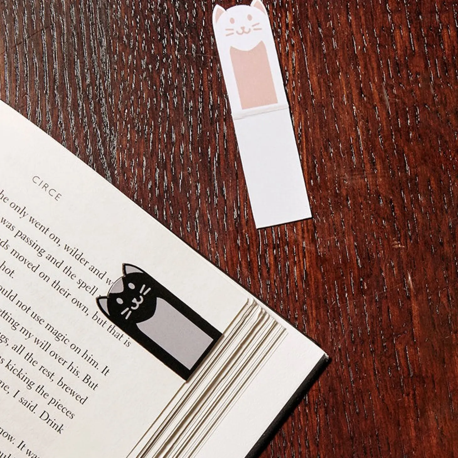 Magnetic Bookmark Cats