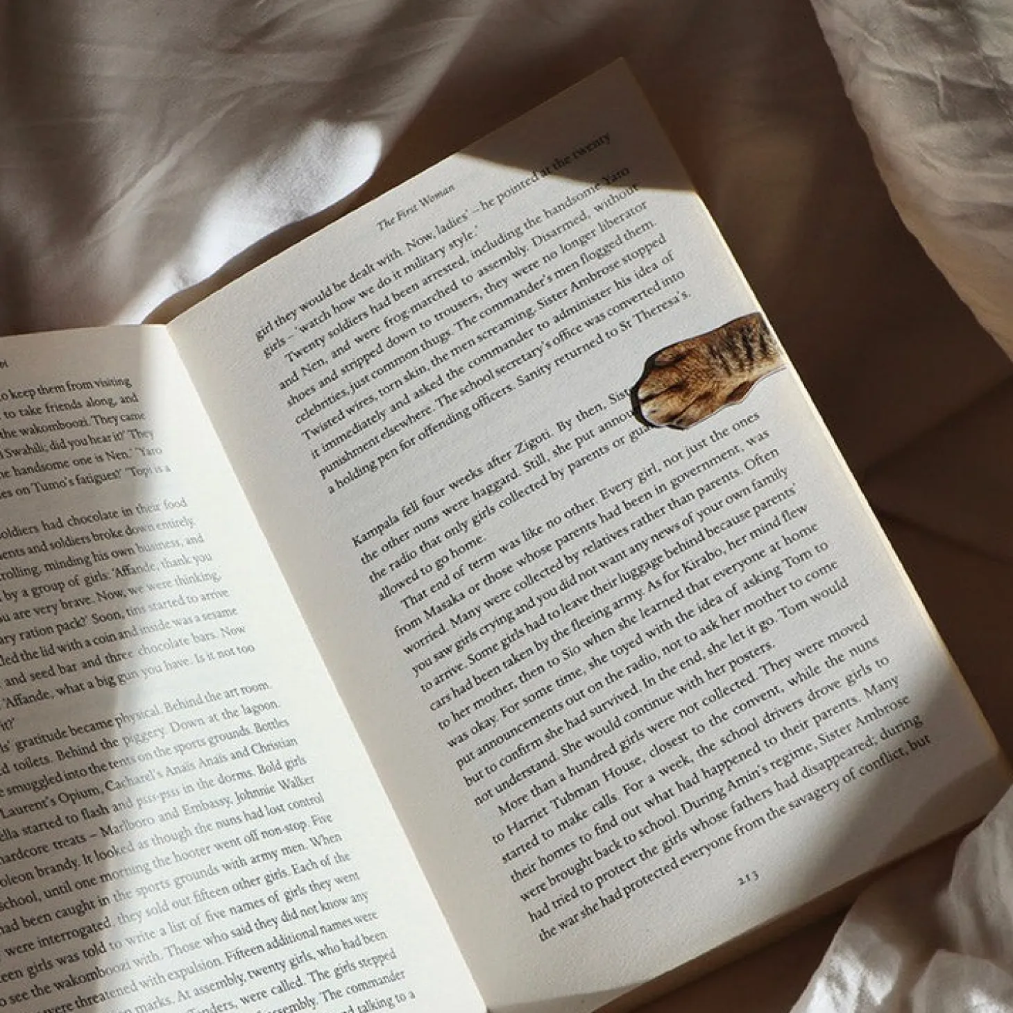 Magnetic Cat Paw Bookmarks