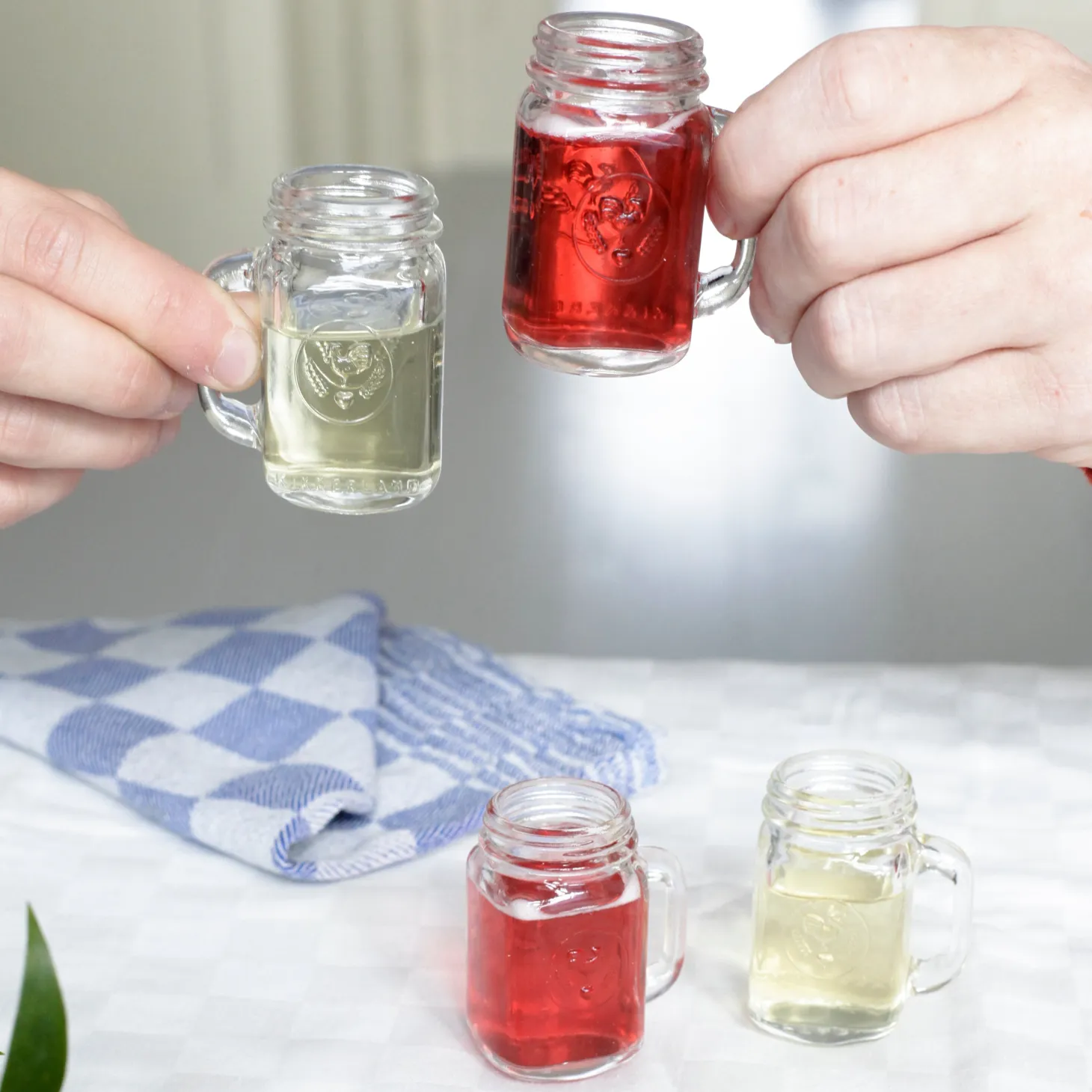 Mason Jar Shot Glass