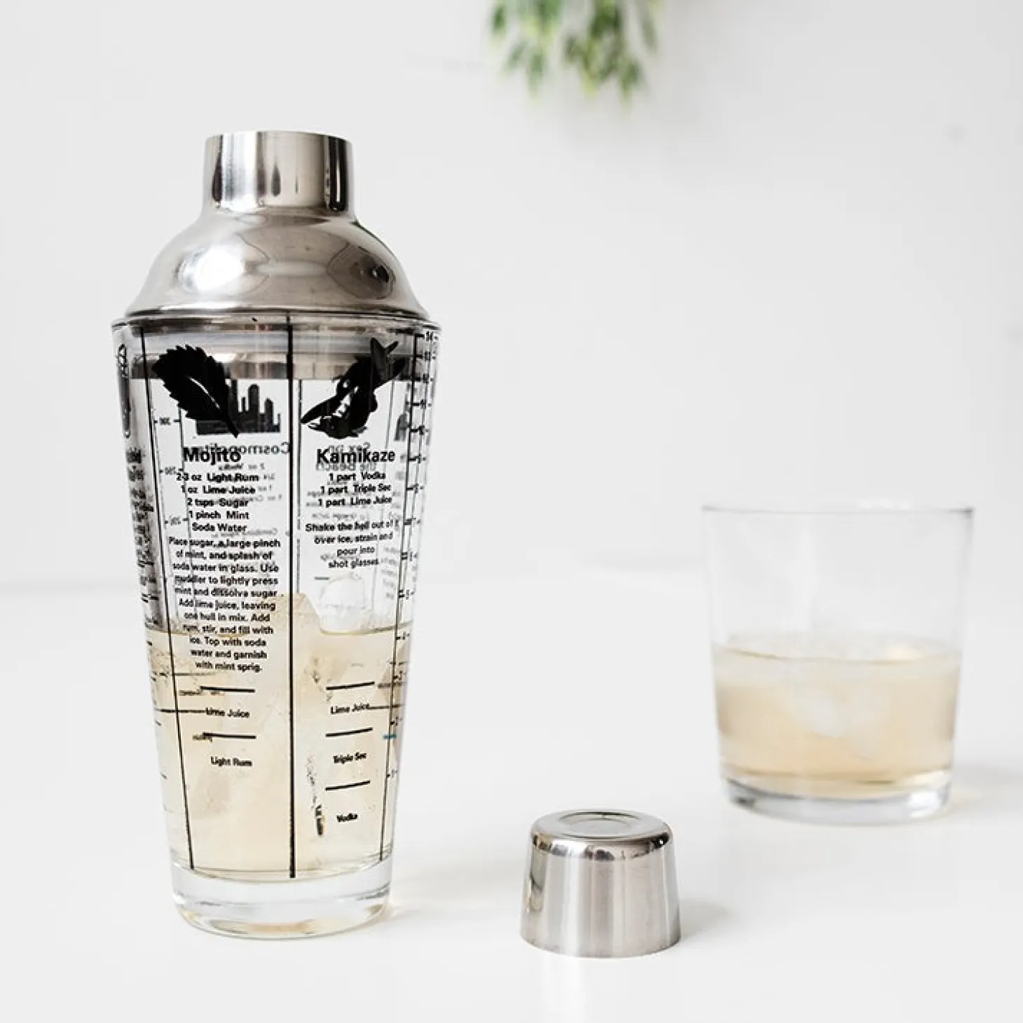 Mix Master Cocktail Shaker