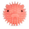 Piggy Dog Ball