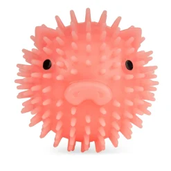 Piggy Dog Ball