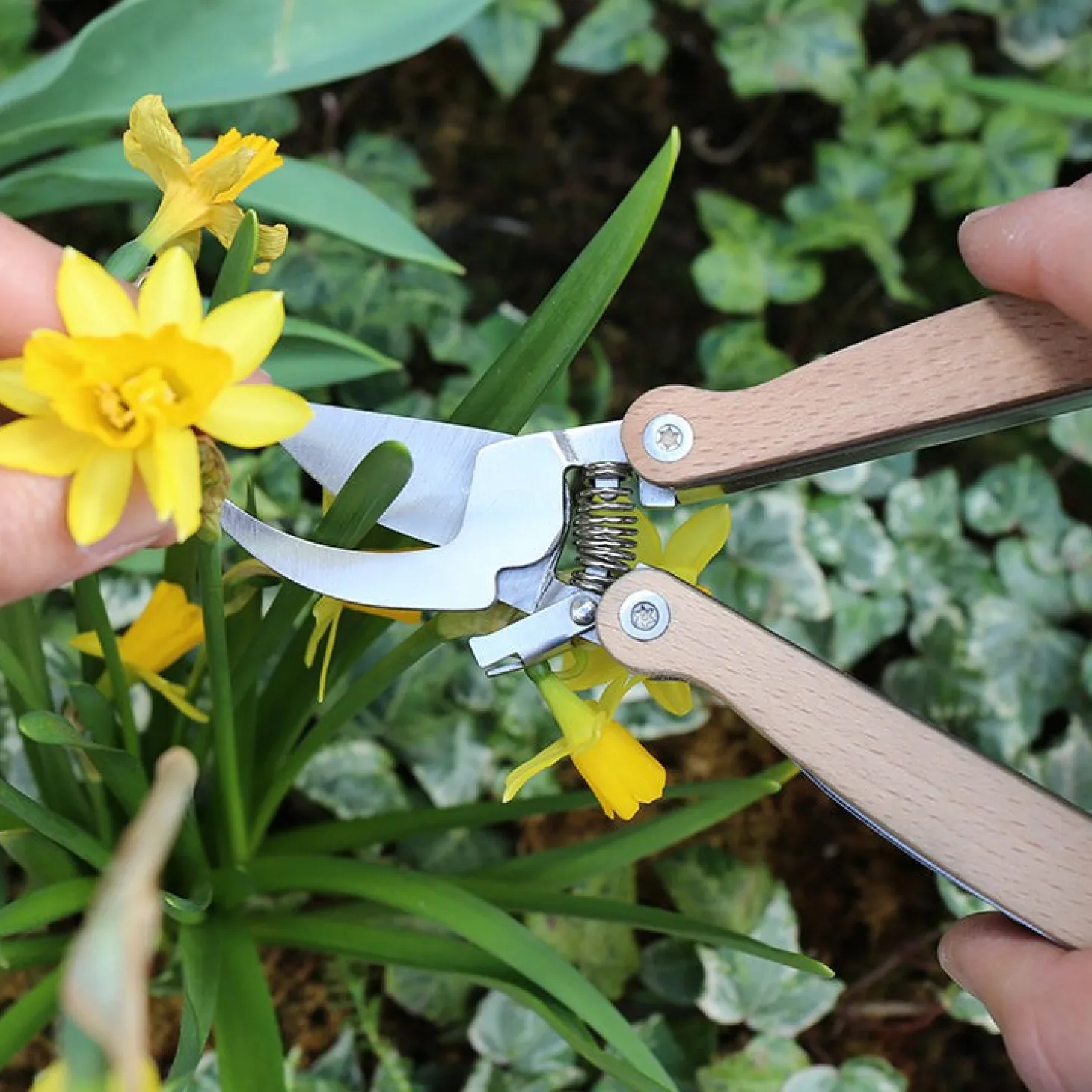 Pocket Pruner Multi-Tool