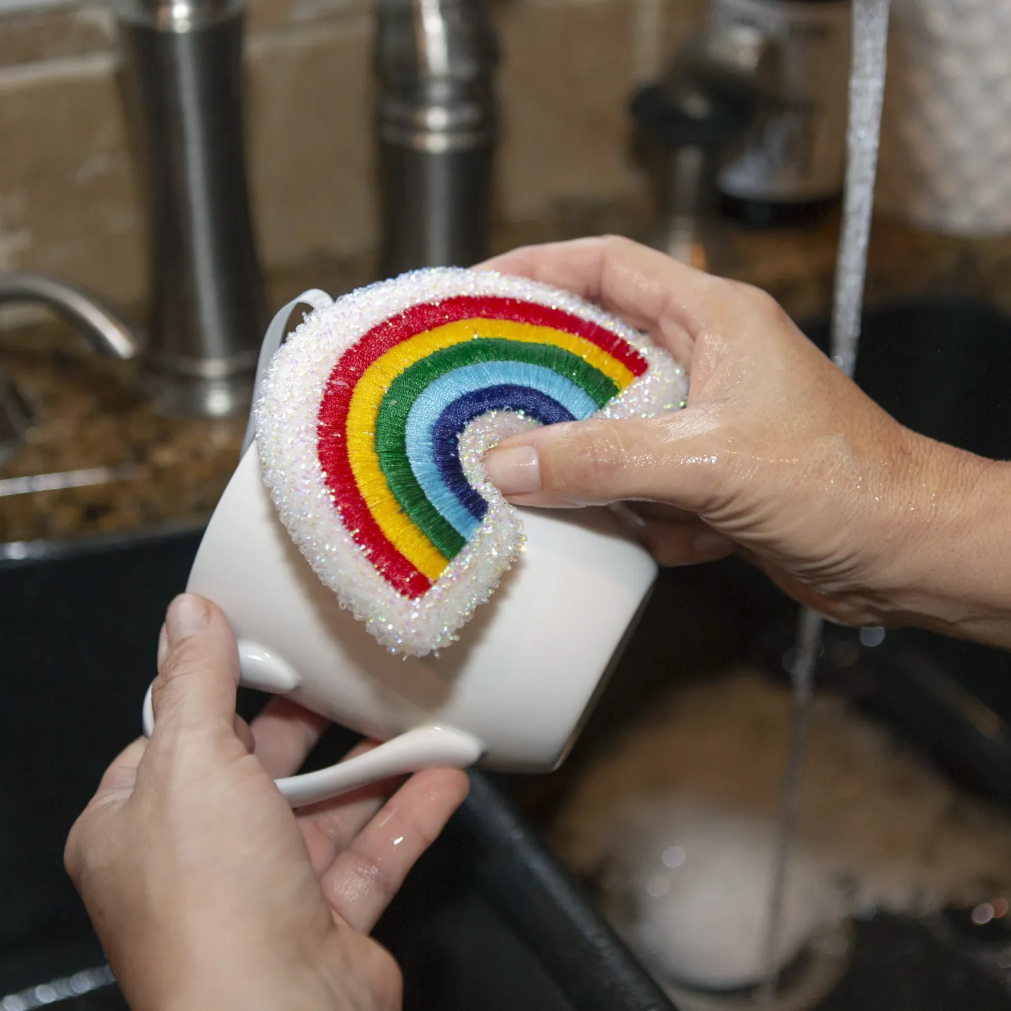 Rainbow Sponges