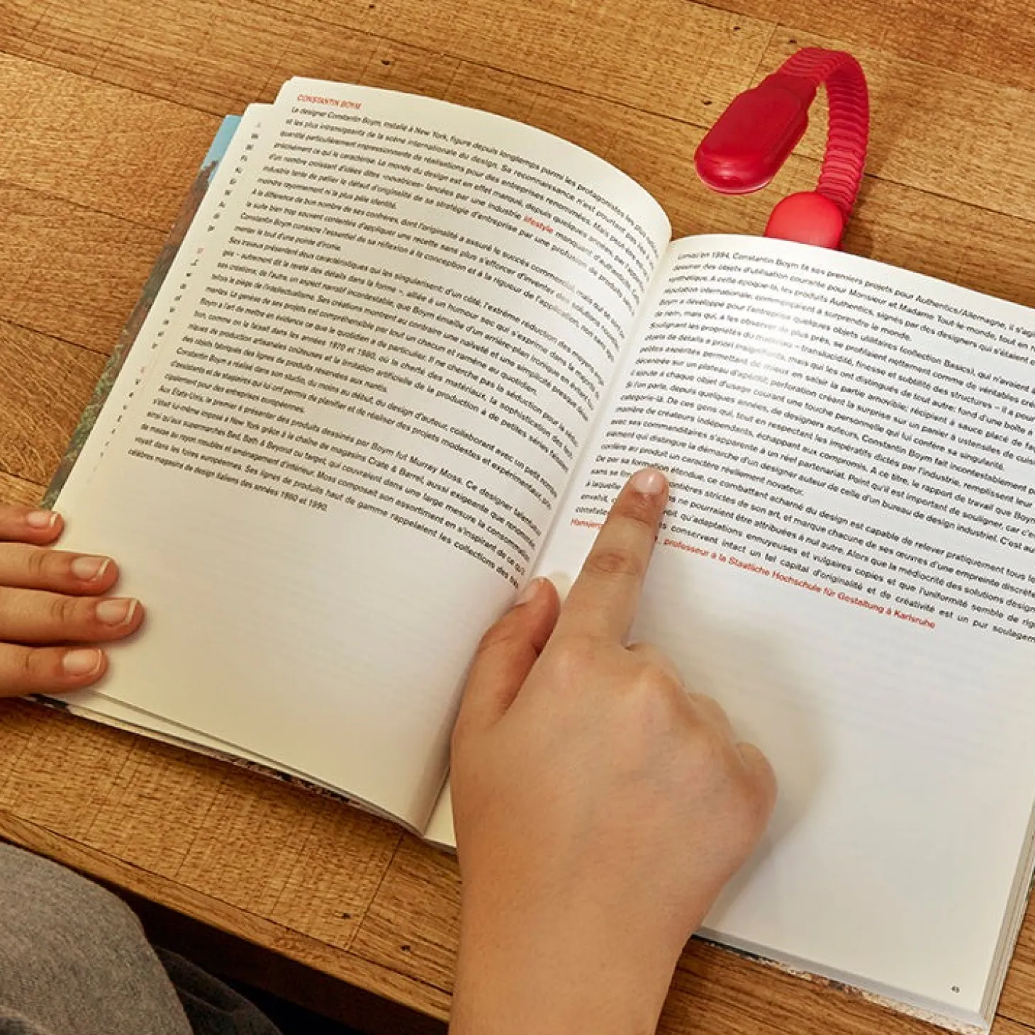 Rechargable Booklight Red