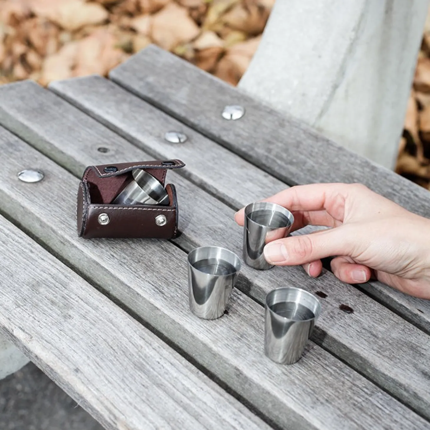 Shot Glasses with Leather Case