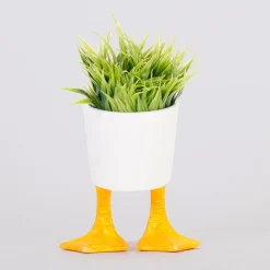 Small Duck Feet Planter