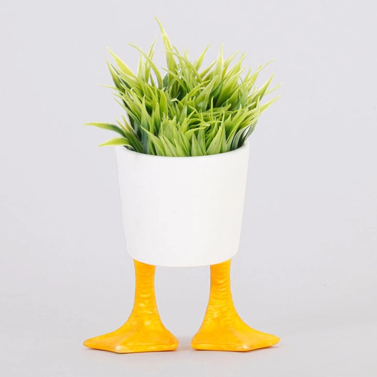 Small Duck Feet Planter