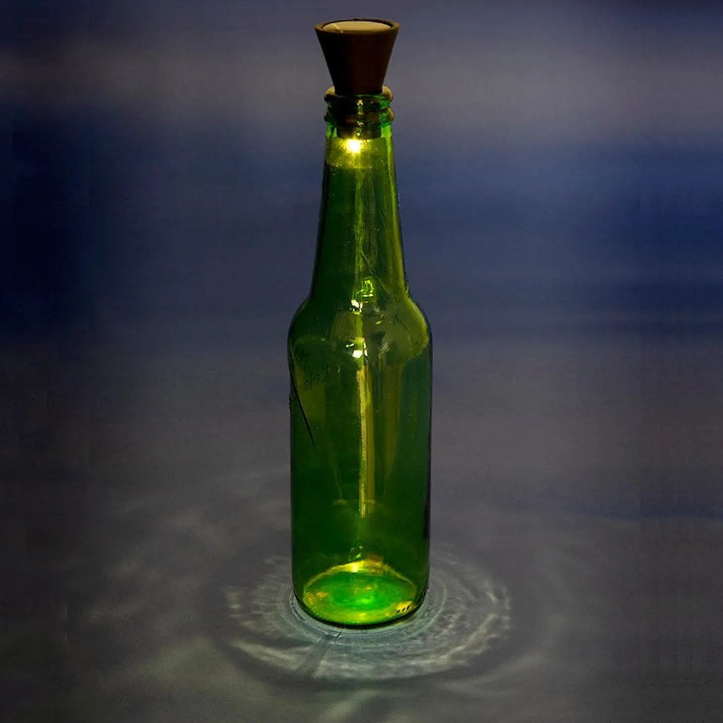 Solar Bottle Light