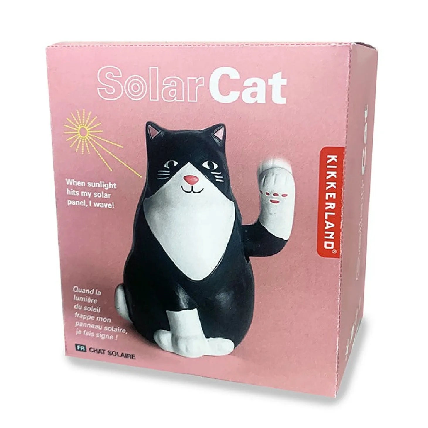 Solar Cat