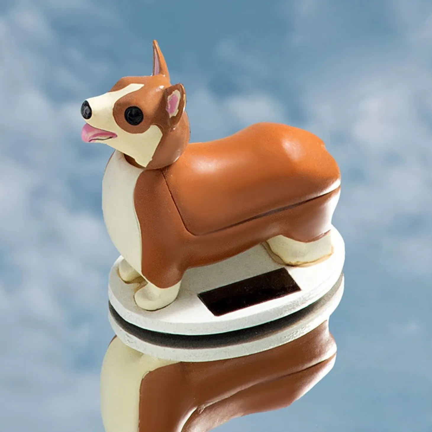 Solar Corgi