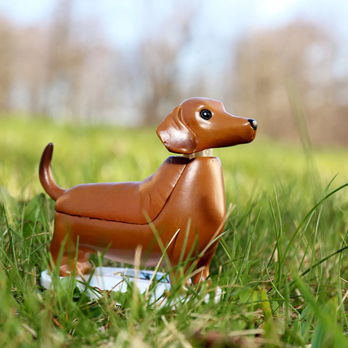 Solar Dachshund