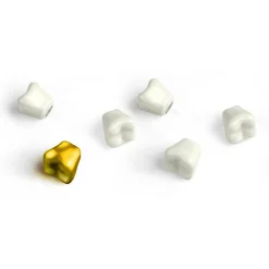 Teeth Magnets