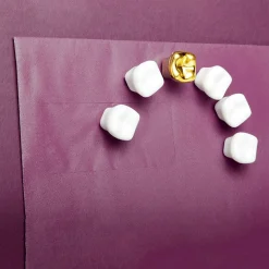 Teeth Magnets
