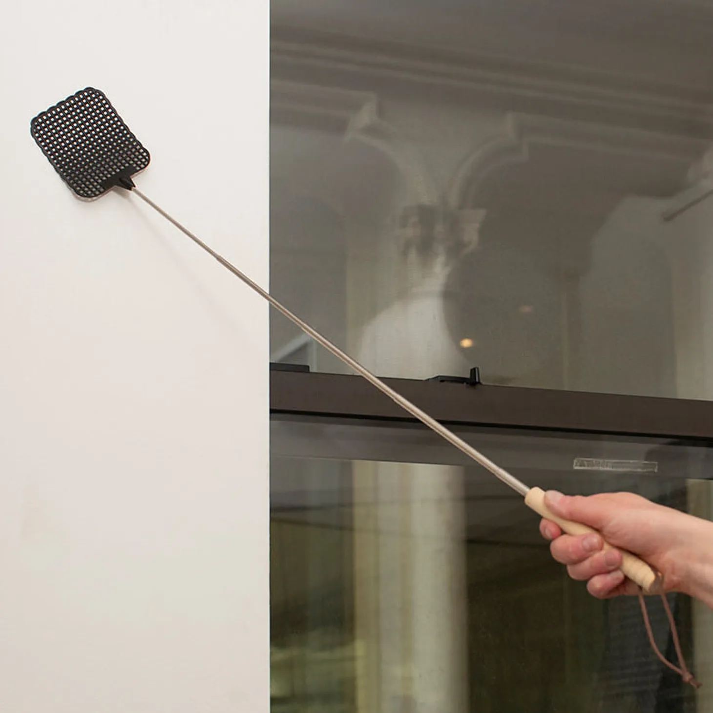 Telescopic Fly Swatter
