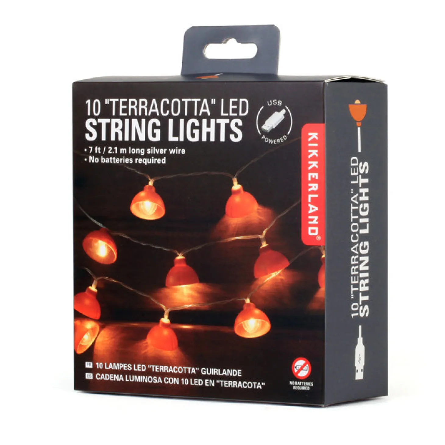 Terracotta String Lights 10 Ft