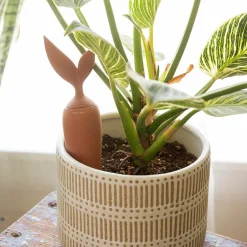 Terracotta Watering Stake
