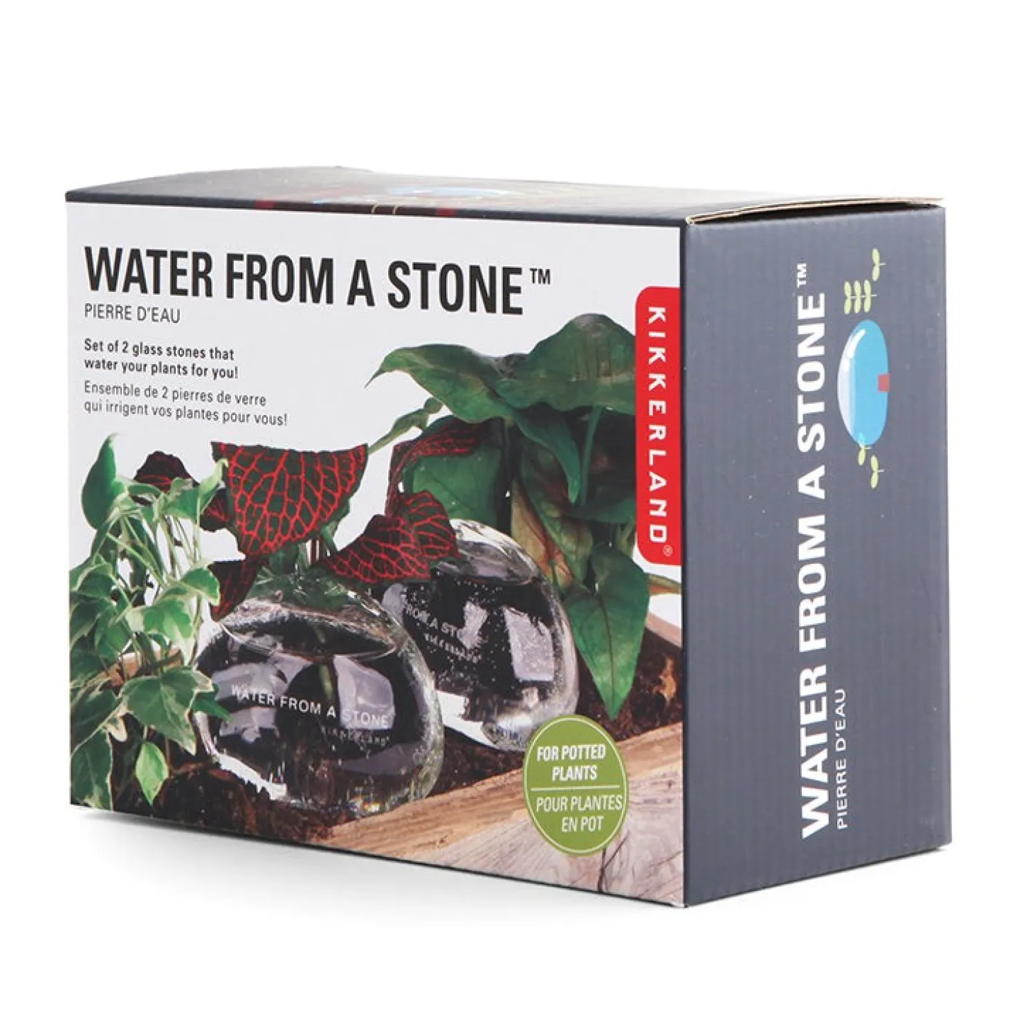 Water From A Stone